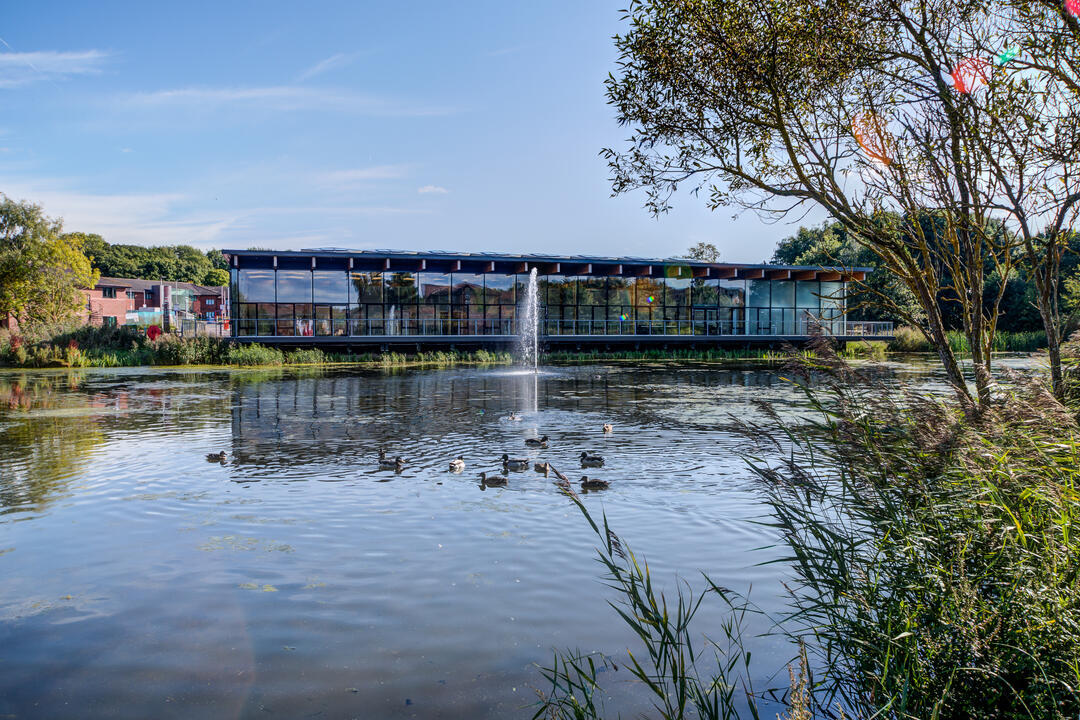 View of lake complete with fountain and ducks to a glass fronted building