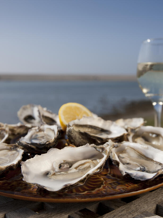 Plate of shucked oysters with a slice of lemon on table
