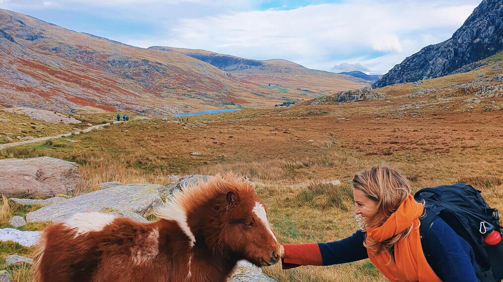 Woman stroking a small wild pony in a grassy valley