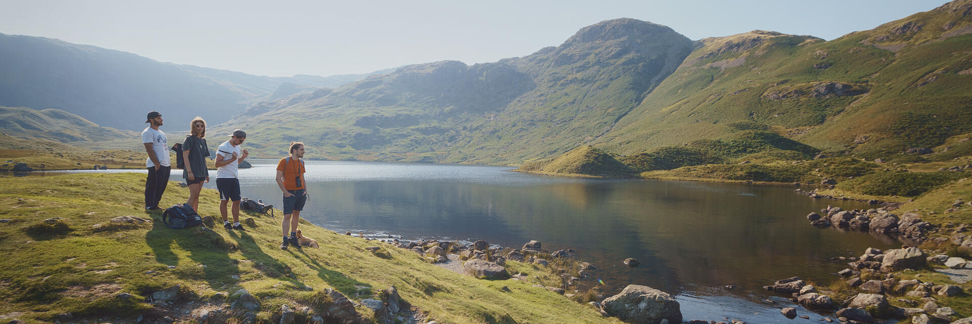 Three men and a woman looking over a lake in the summer 