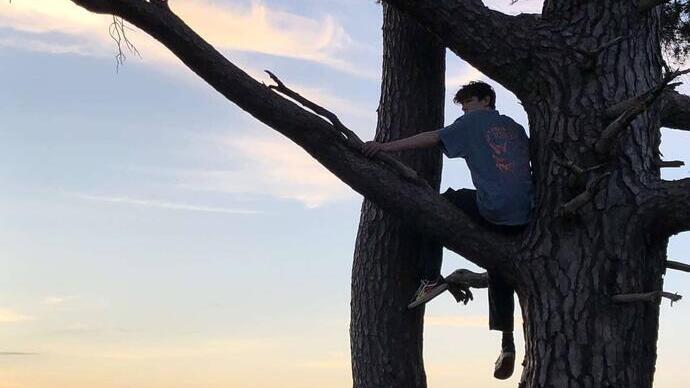 Man in a tree at Temple of the Winds, National Trust