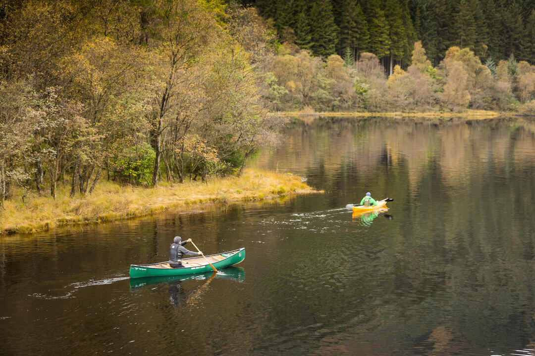Two kayakers in a loch surrounded by trees