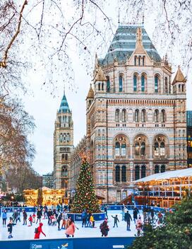 متحف التاريخ الطبيعي