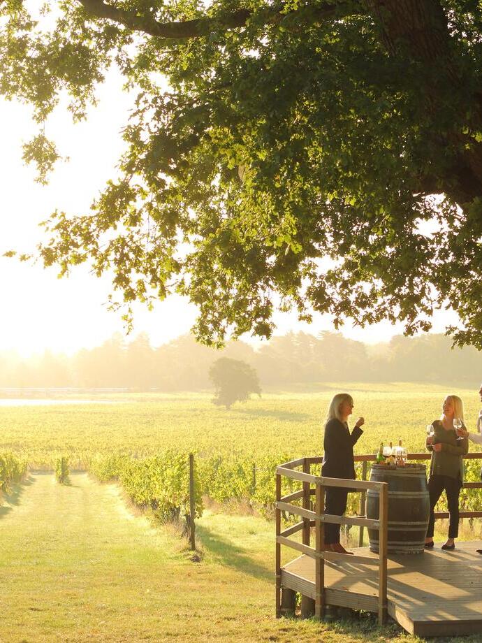 Close up of people standing under tree having a private wine tasting tour