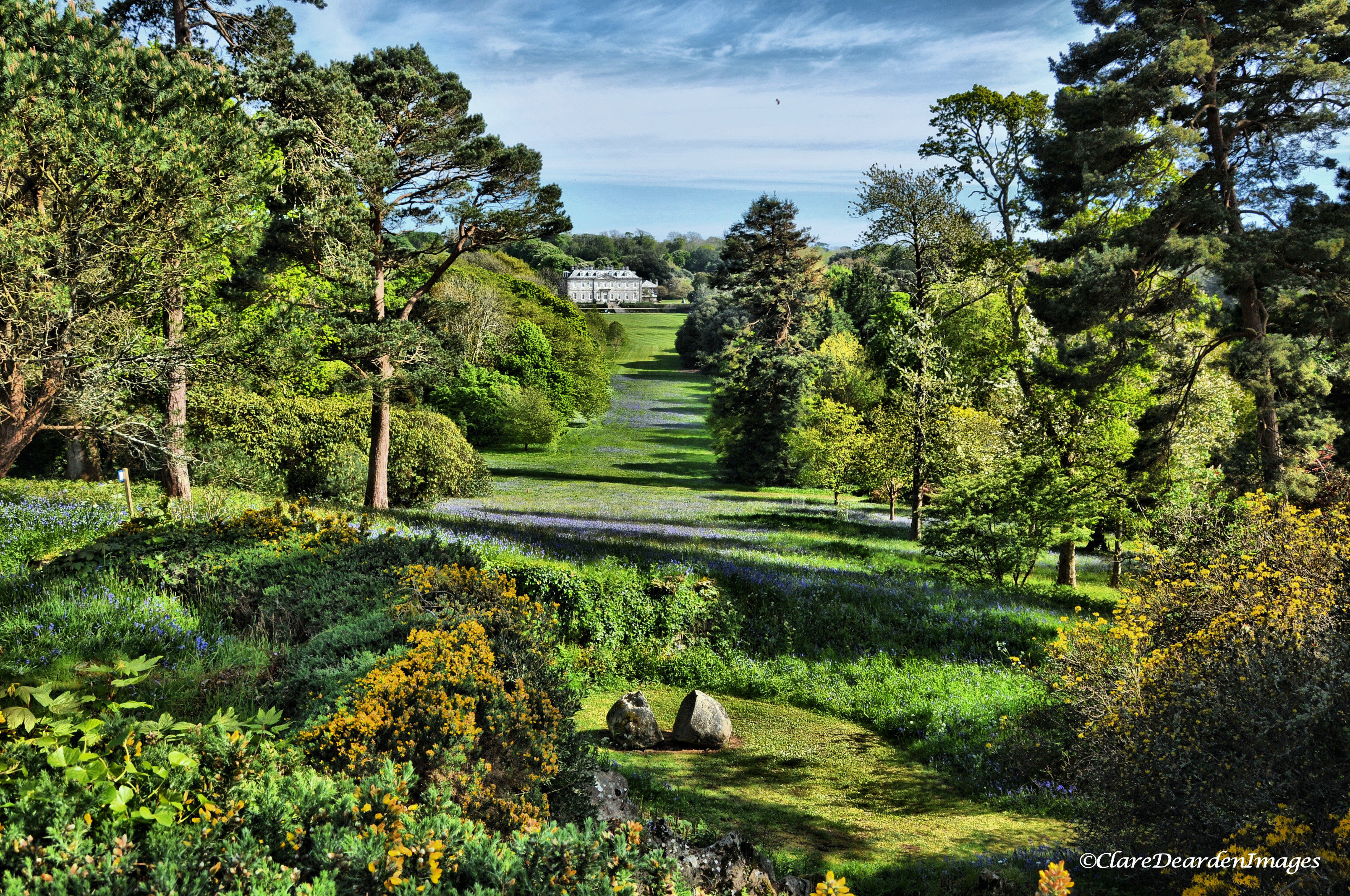 A longshot view of Antony Woodland Garden in Cornwall