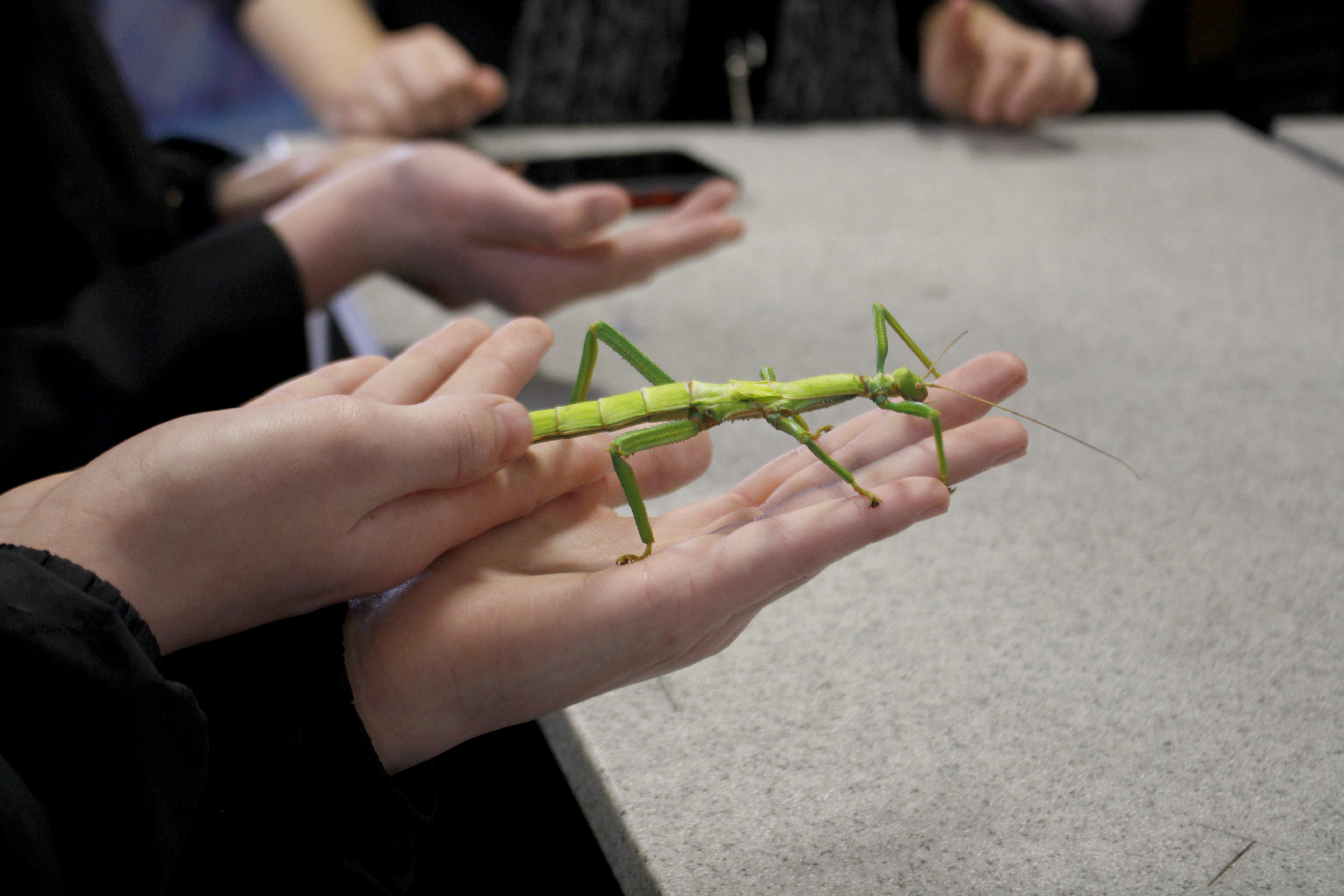 Dr Beynon's Bug Farm