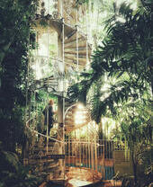 Woman going up the staircase in a large glass house filled with plants