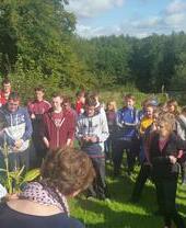 Des visiteurs profitent d'une excursion HartyCulture Foraging and Nature Tours