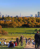 Vue automnale ensoleillée sur un parc avec la silhouette de la ville en arrière-plan