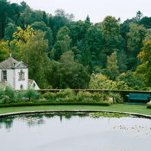 Garden with trees and pond in autumn