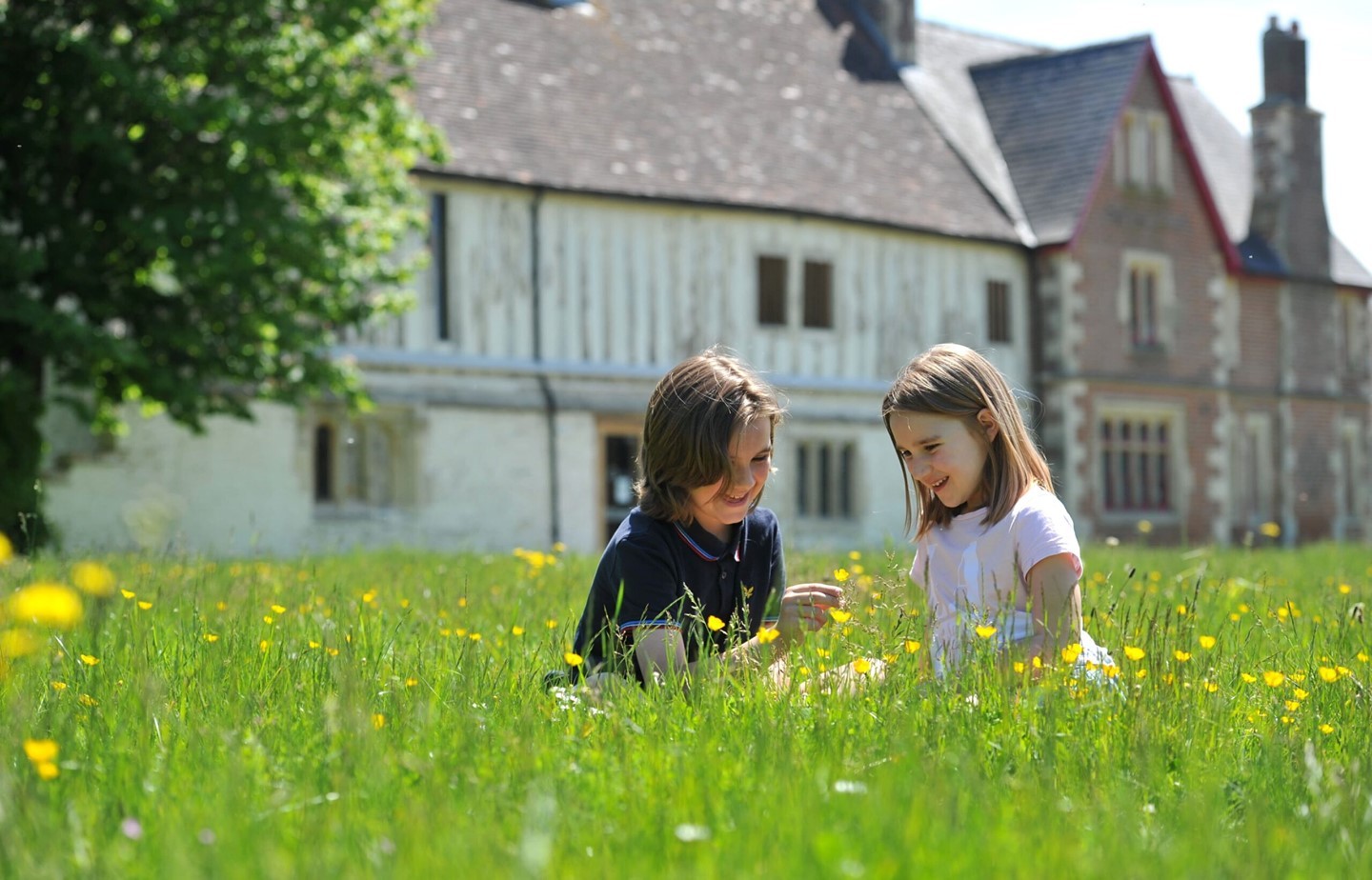 Deux enfants assis dans un champ, cueillant des fleurs