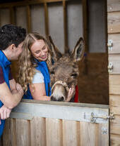 A man leans on a stable door while a woman smiles and strokes a donkey in a stable