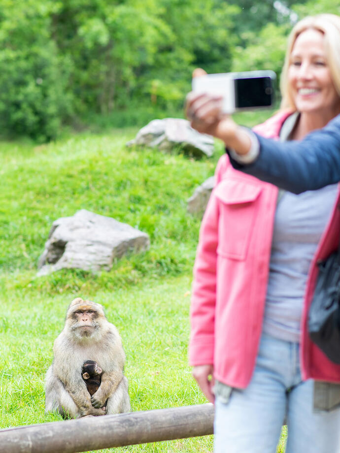 A Barbary monkey with her baby sits watching a man and a woman taking a selfie
