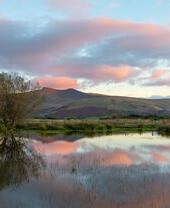 Mynydd Illtyd, near Libanus, Fforest Fawr UNESCO Global Geopark