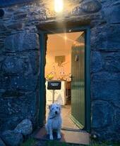 Crashpad Lodges mit weißem Hund am Eingang