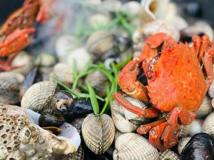 Food collected from coastal foraging cooking on a pan