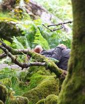 Leñador barbudo entre los retorcidos, nudosos y achaparrados robles sessiles (Quercus petraea) cubiertos de musgo del bosque de Wistmans. Dartmoor, Devon, Reino Unido.