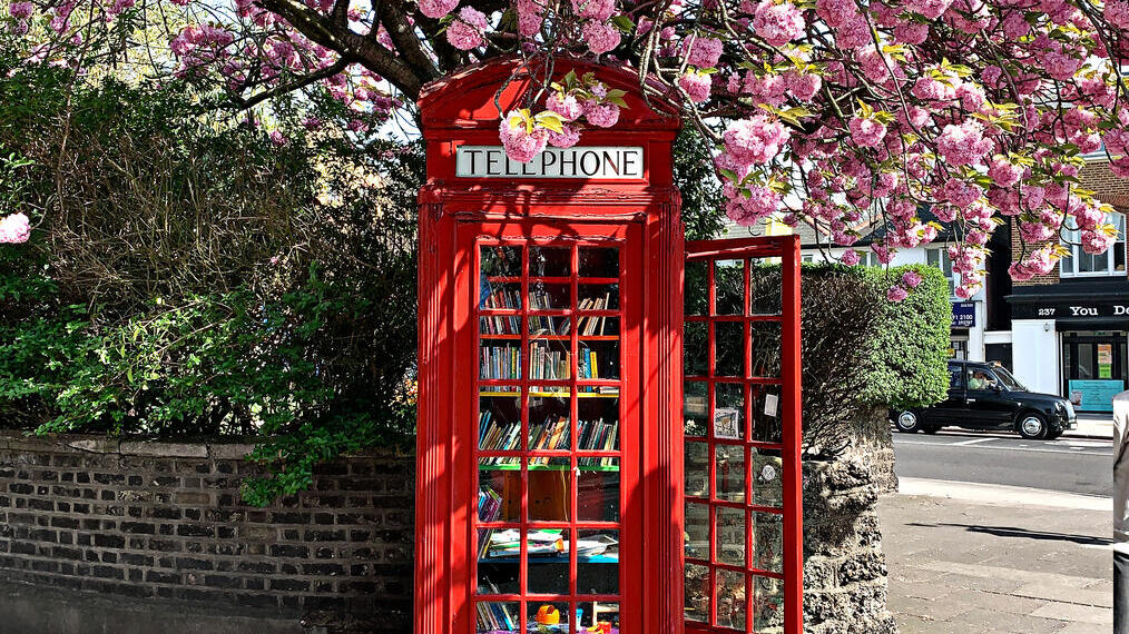 Rote Telefonzelle auf einer Straße unter einem blühenden Baum