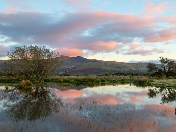 Mynydd Illtyd, vicino a Libanus, Fforest Fawr UNESCO Global Geopark