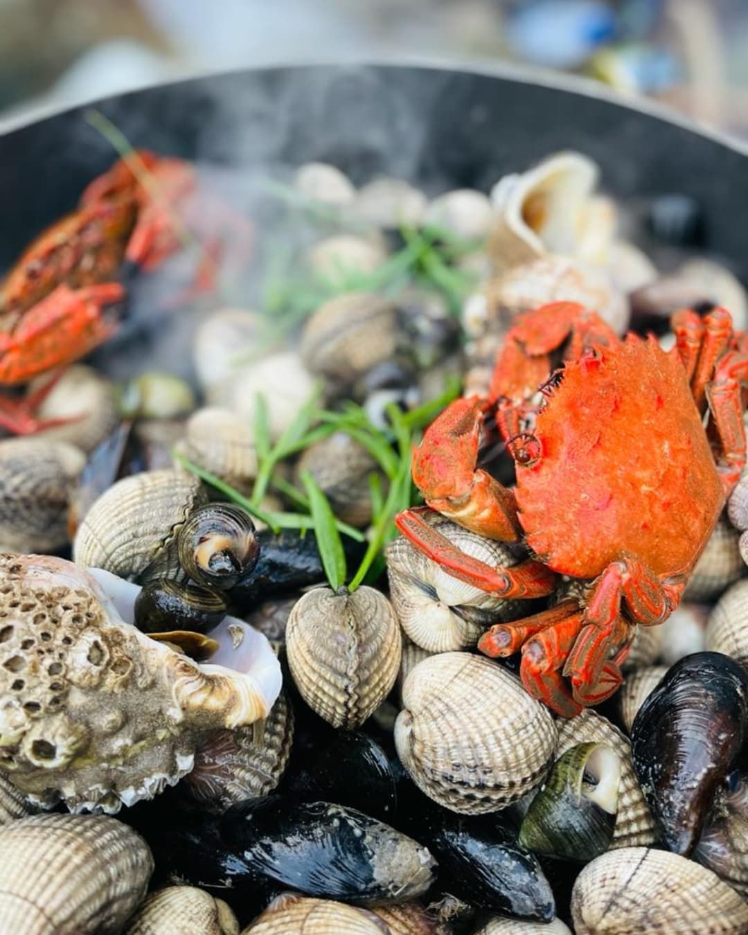Food collected from coastal foraging cooking on a pan