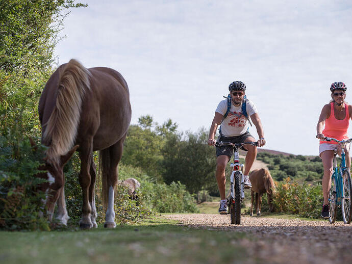 Two people riding bicycles on a trail past a horse in the New Forest