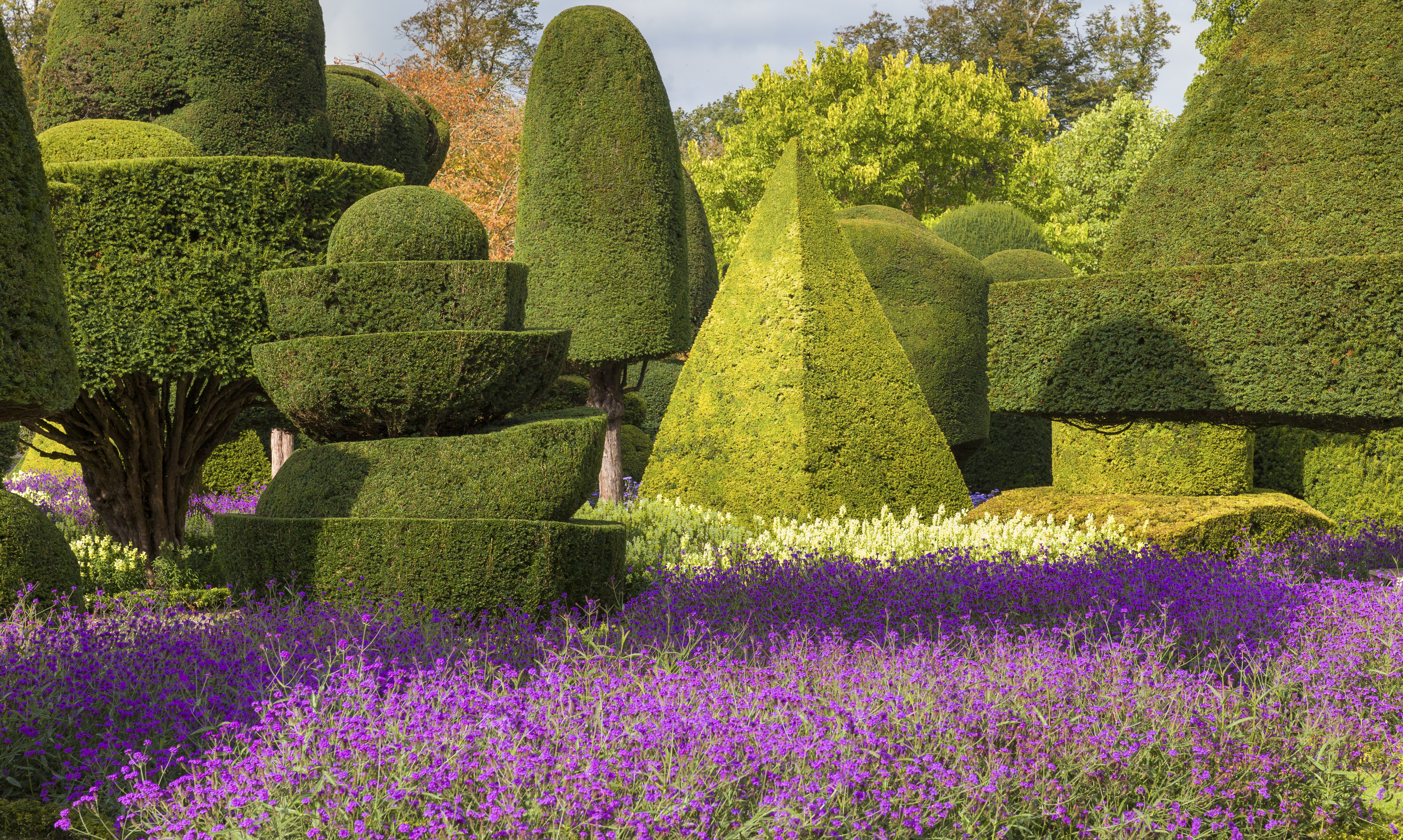 Colourful flower beds in a bright garden with trimmed hedges