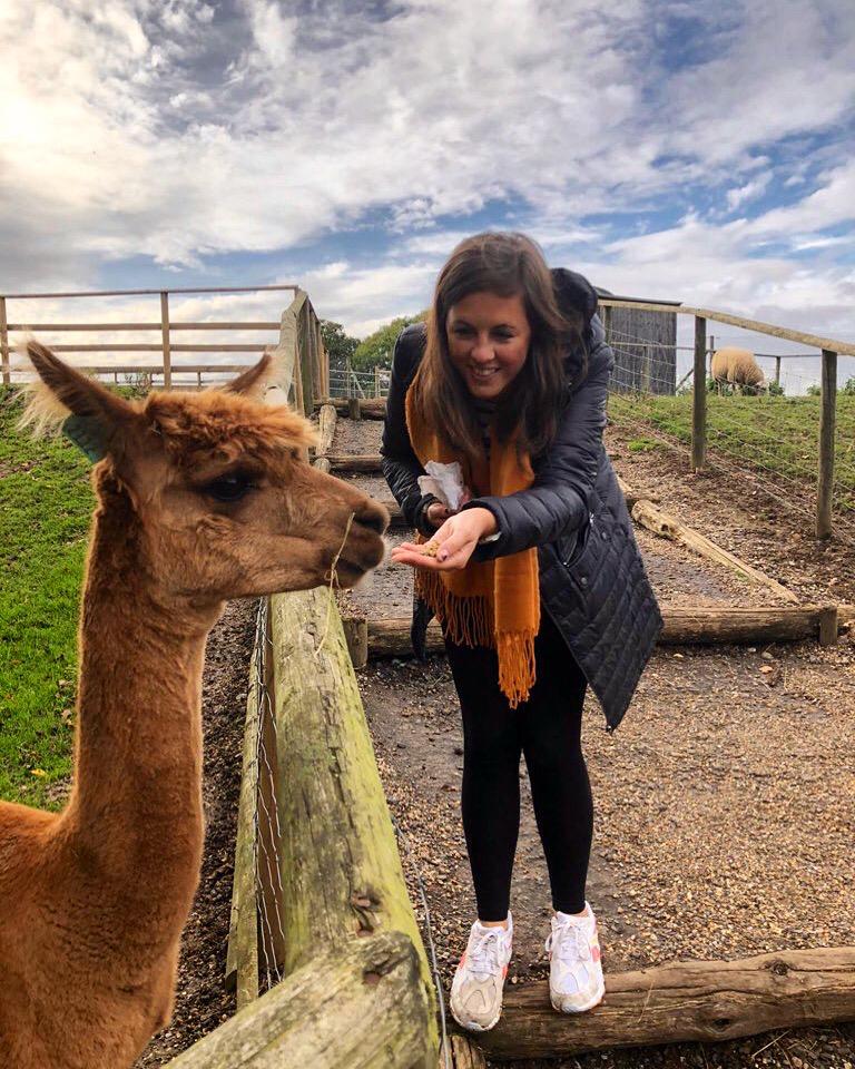 Woman feeding a llama from her hand