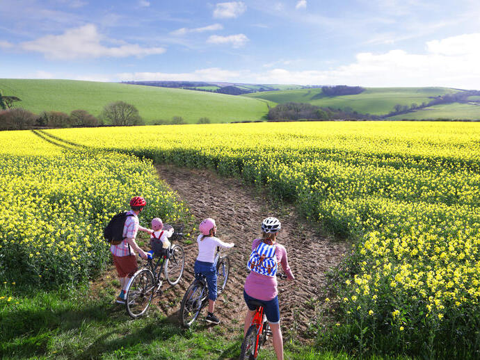 Familie auf Fahrrädern, die im Sommer über ein Feld in Richtung Horizont blickt