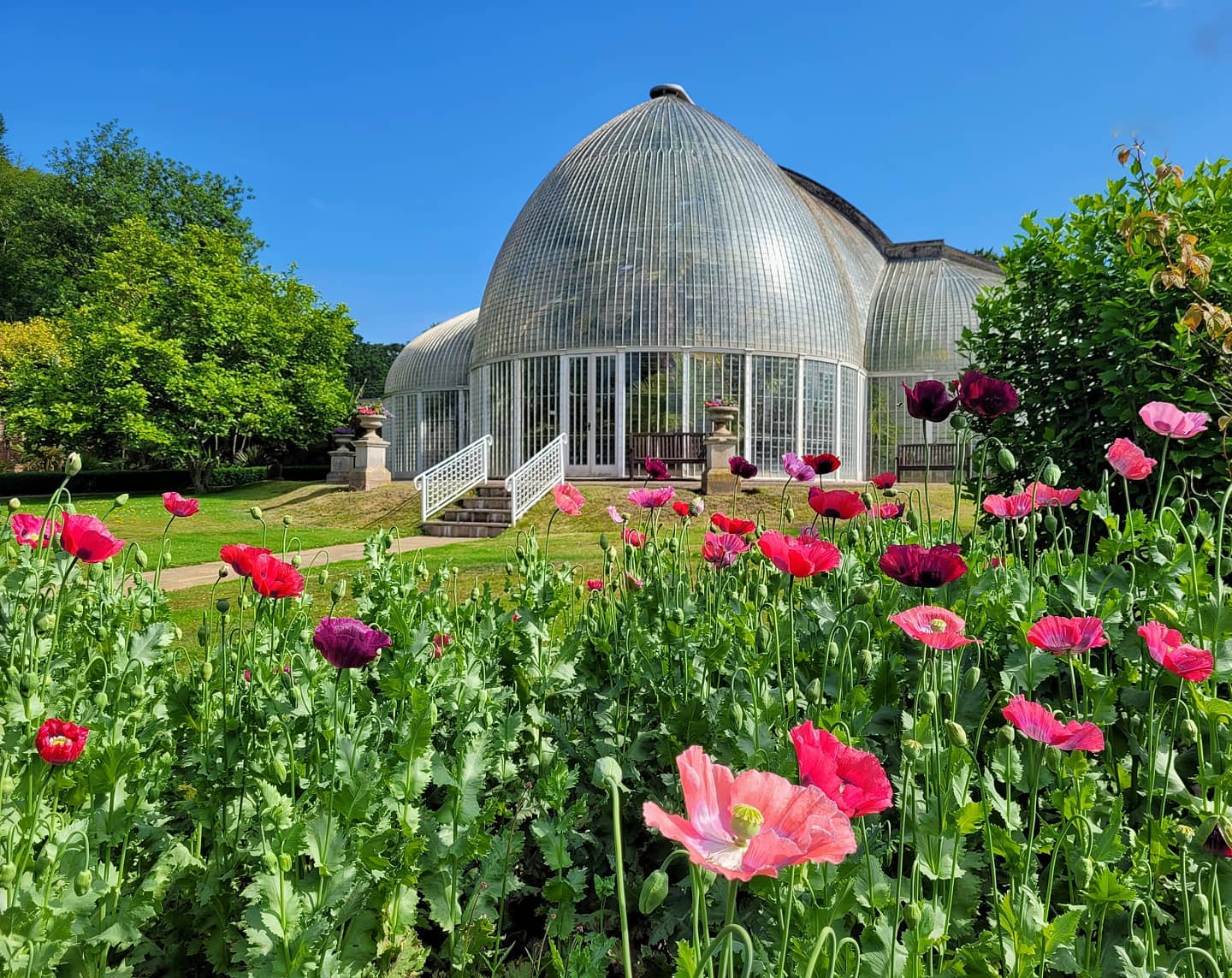 Bicton Park Botanical Gardens