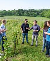 Grape and Grain Tours