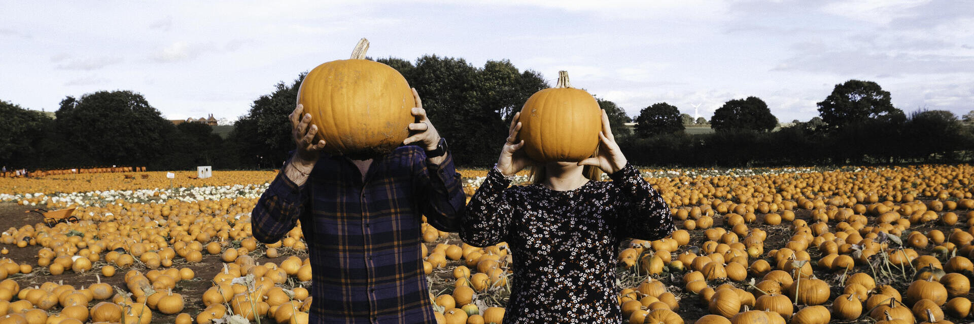 Two people stand in a pumpkin patch, each holding a pumpkin over their head, surrounded by pumpkins and an open field.