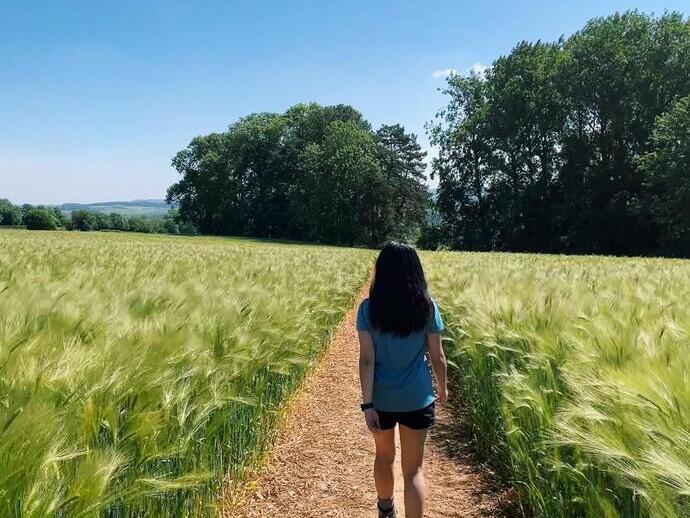 The Cotswold Way Walking Trail