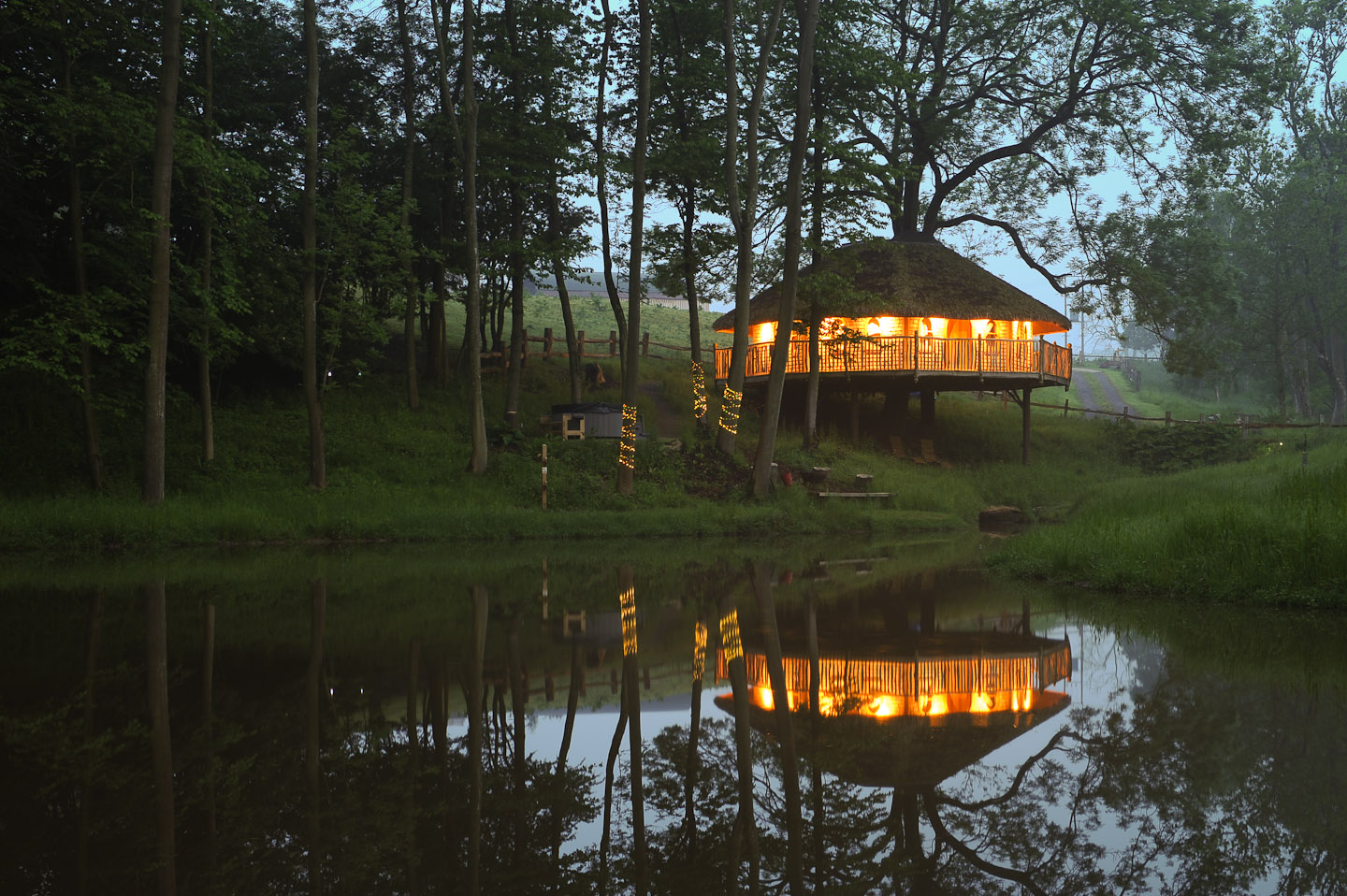 Overlooking the lake at dusk to the treehouse at Treeopia, light from within and surrounded by trees.