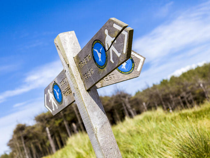 Panneau indicateur en bois sur l'herbe près d'une rangée d'arbres contre un ciel bleu
