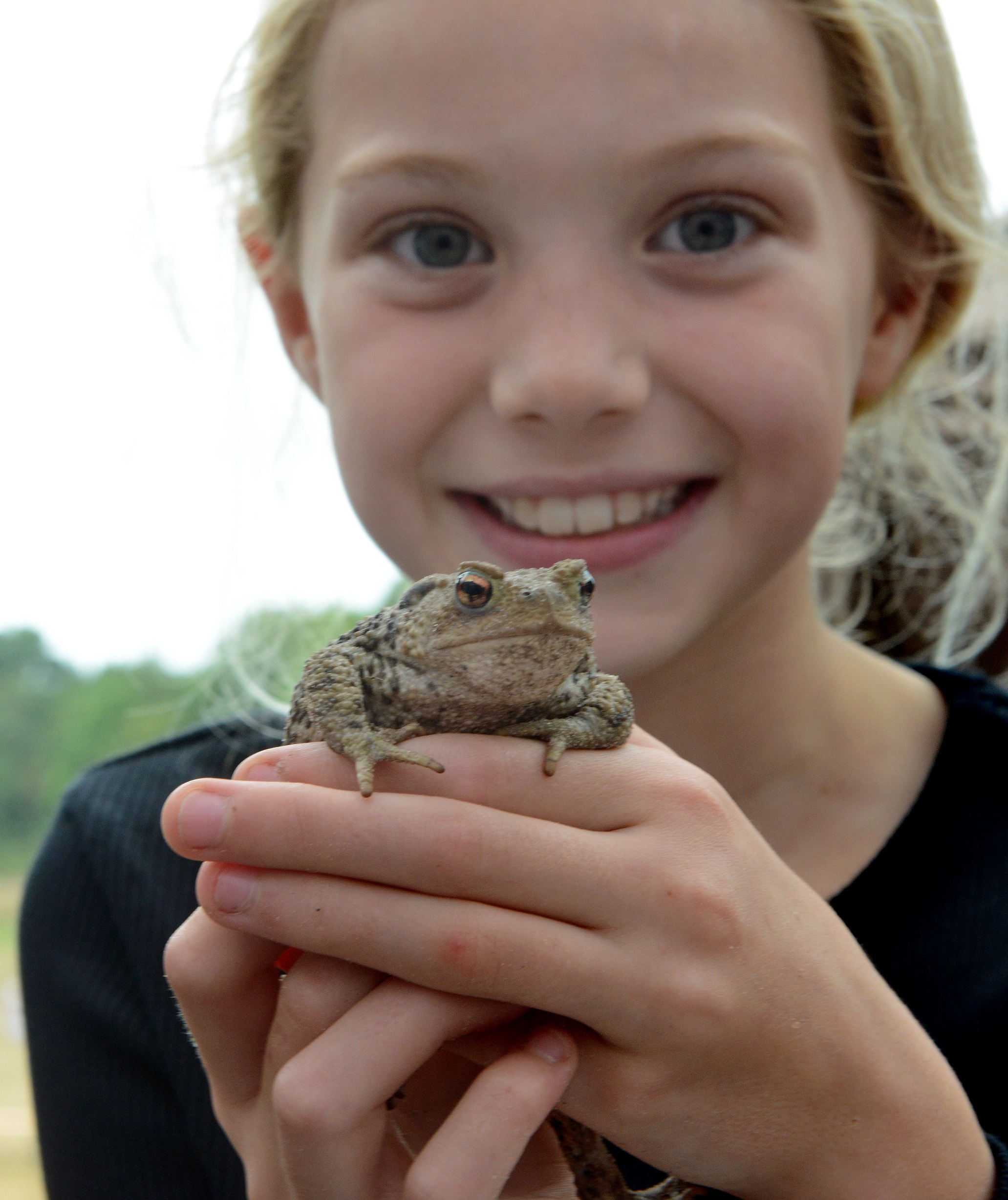 Una niña sostiene un sapo en el ReNature Festival
