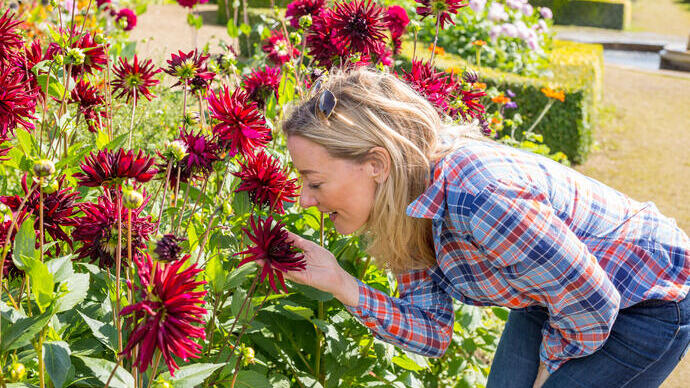 Une femme sentant des fleurs dans un jardin à la française