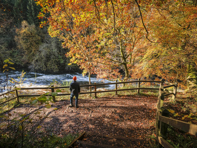 A person exploring a nature reserve on an autumnal day with a river flowing by.