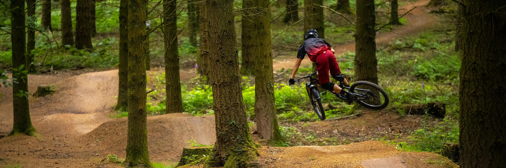 Cyclist in red shorts rides a mountain bike on a dirt trail through a dense green forest with rolling paths and trees.