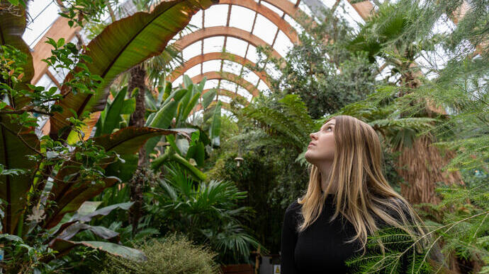 A person looking up while standing in a lush indoor greenhouse filled with various tropical plants and green foliage.