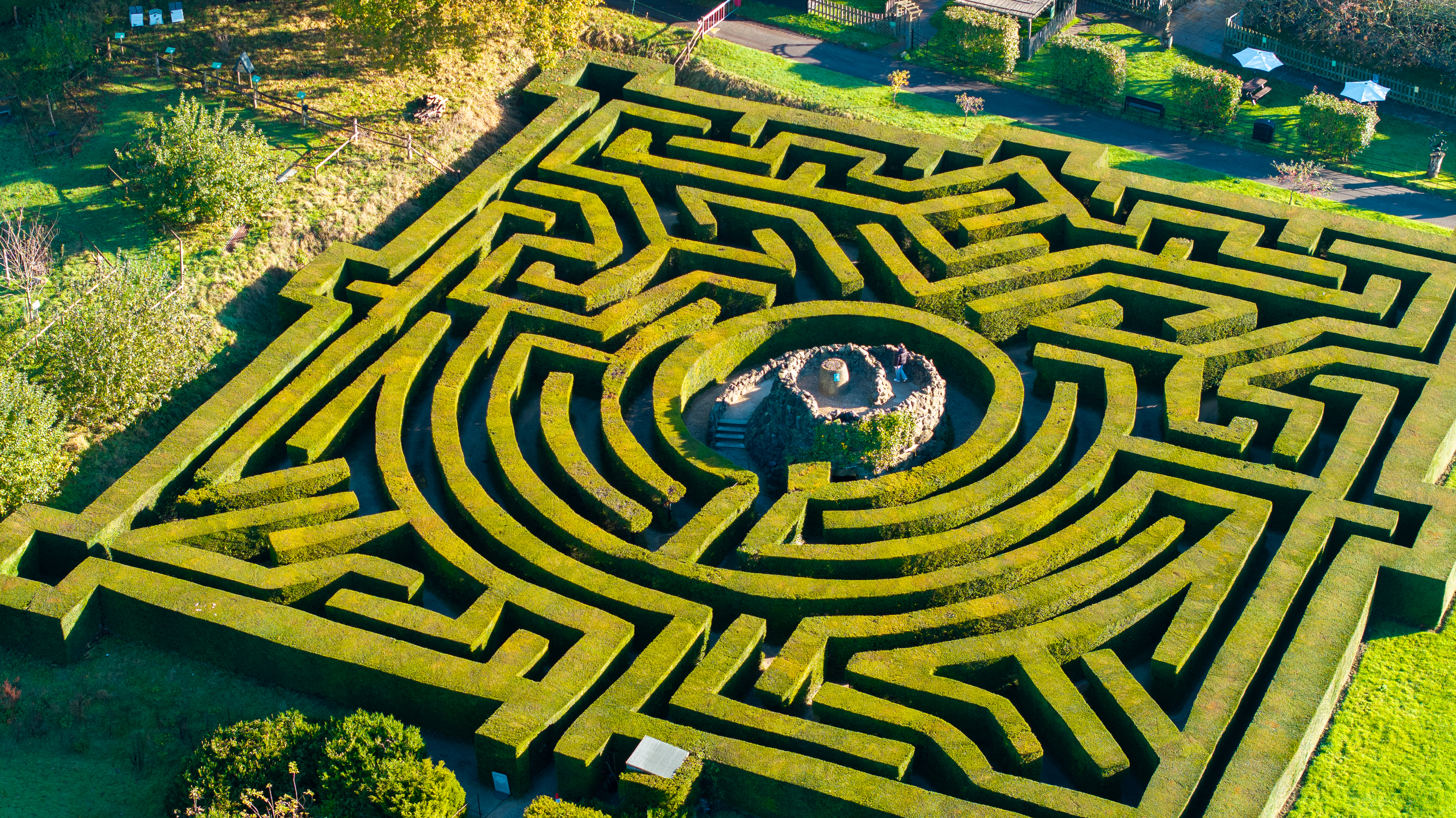 Luftaufnahme einer Frau, die den zentralen Turm eines Heckenlabyrinths hinaufsteigt