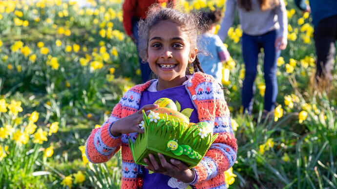 A girl standing in a field of daffodil flowers