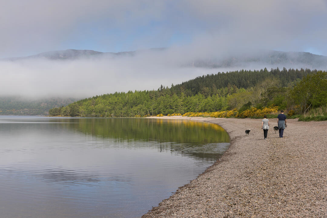 A man and women walking their dogs along shoreline of Loch Ness
