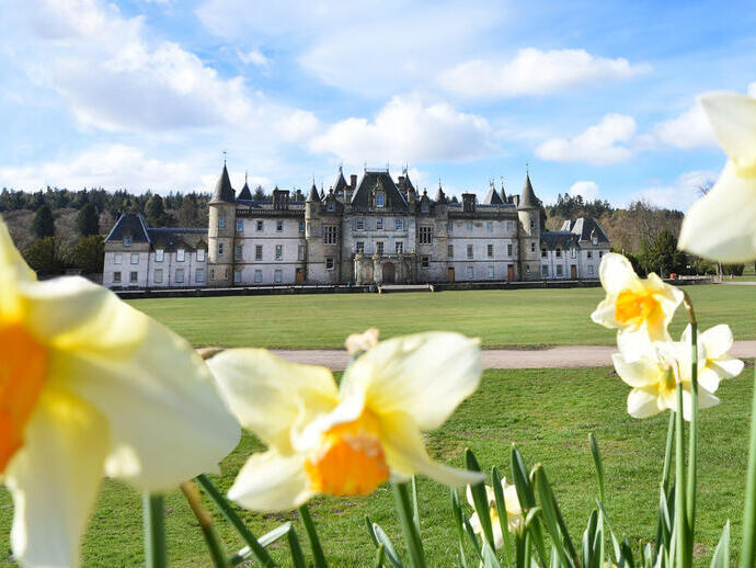 Exterior of a French-style grey mansion with turrets, with daffodils in the foreground.