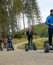 Go Ape, bosque de Grizedale