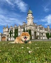 Castello e tenuta di Balmoral