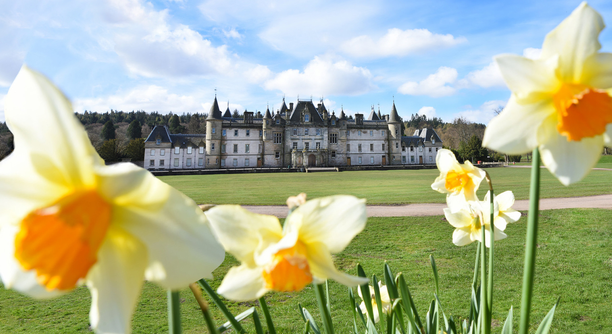 Exterior of a French-style grey mansion with turrets, with daffodils in the foreground.