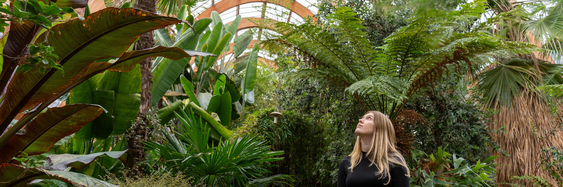 A woman walking past plants in a large temperate glasshouse