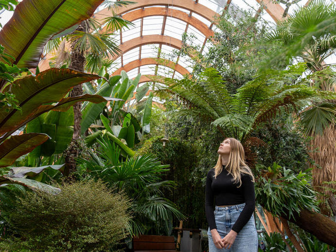 A woman walking past plants in a large temperate glasshouse