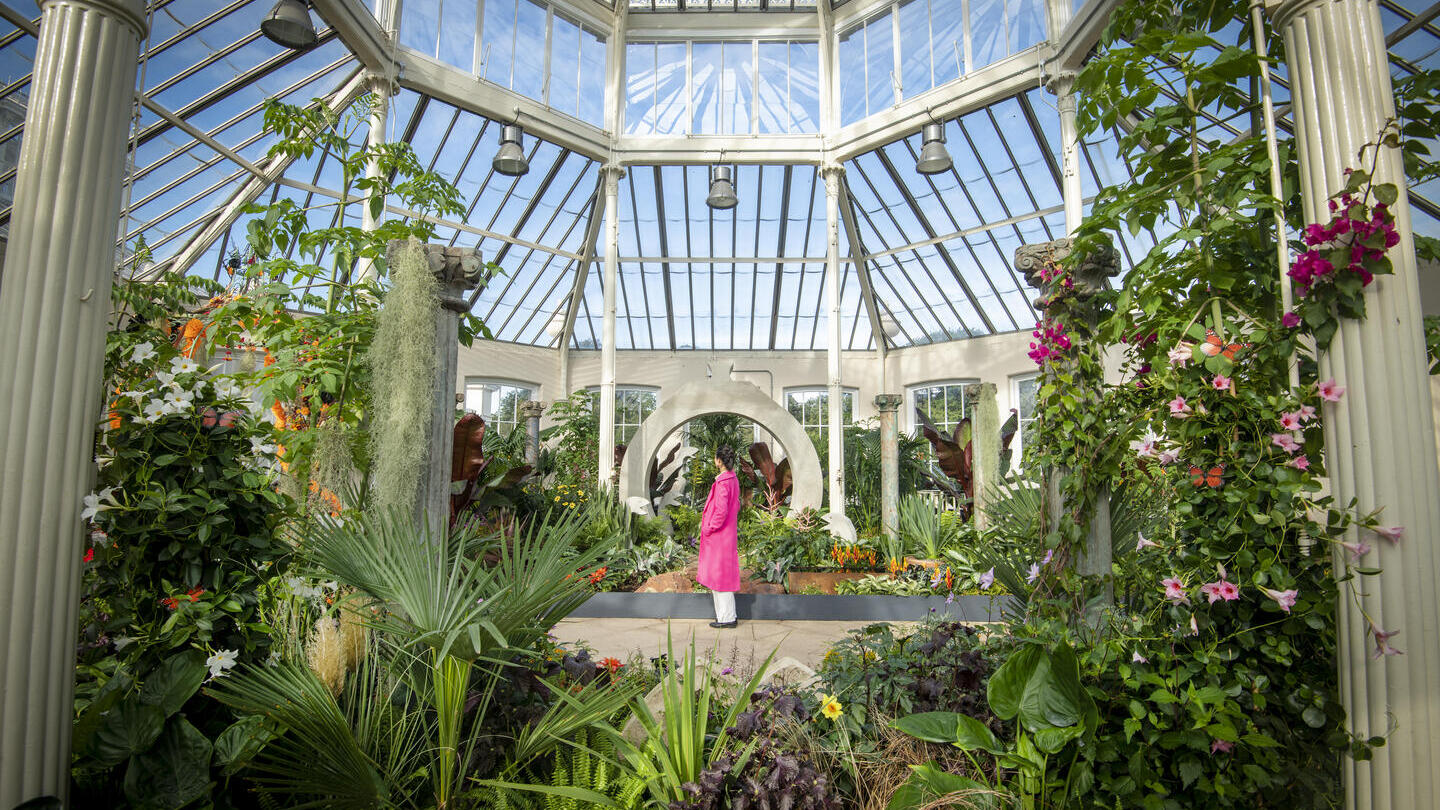Woman in a glass house looking at the display