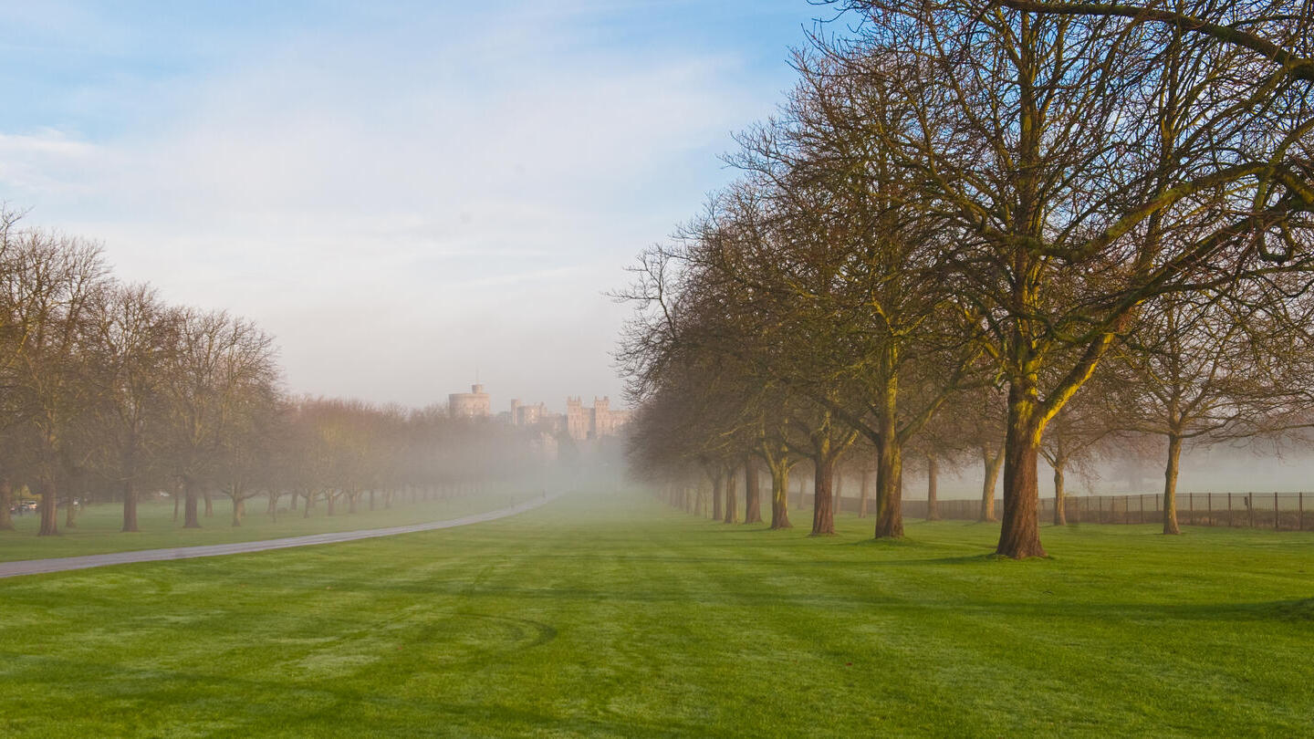 Sentiero alberato nel Windsor Great Park